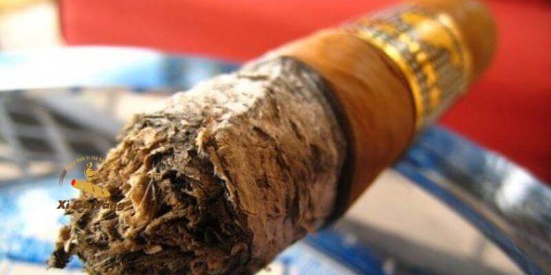 Người mới nên thử các dòng Cohiba phổ thông hơn.